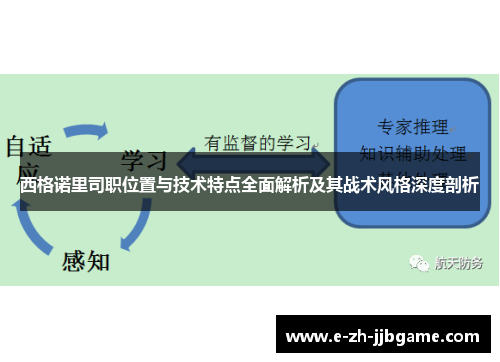 西格诺里司职位置与技术特点全面解析及其战术风格深度剖析